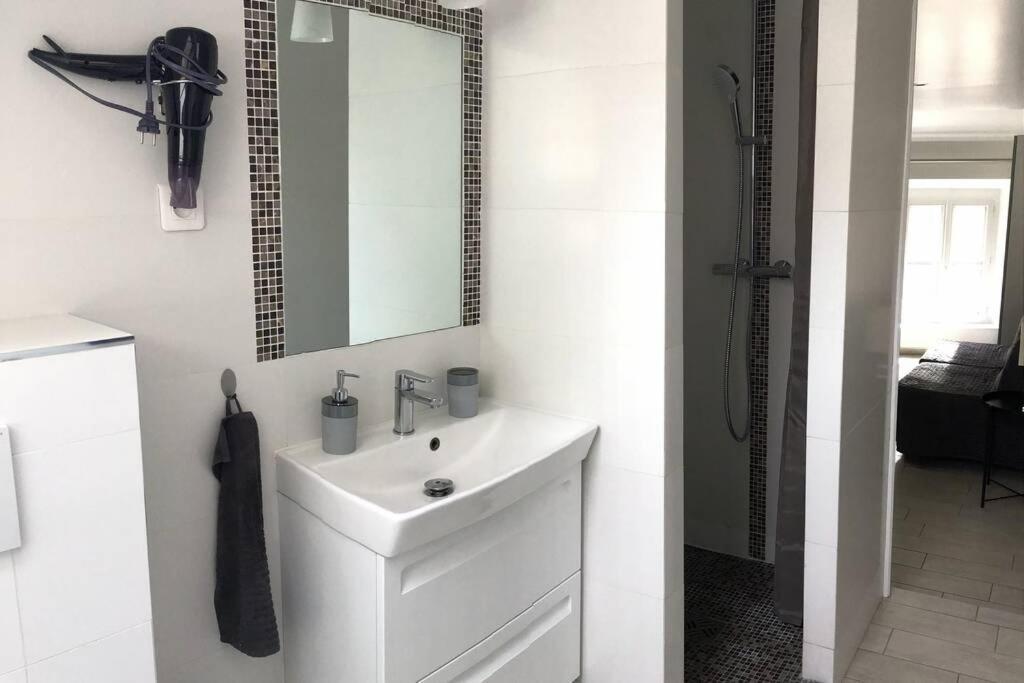 Apartament Duplex Bellifontain Au Coeur De Fontainebleau Zewnętrze zdjęcie